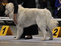 dsc_1468.jpg