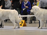 dsc_1473.jpg