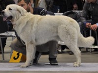 dsc_1478.jpg
