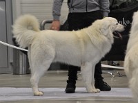 dsc_1483.jpg