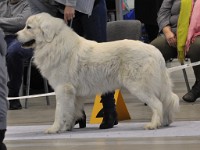 dsc_1487.jpg