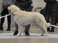 dsc_1488.jpg