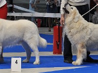 dsc_2642.jpg