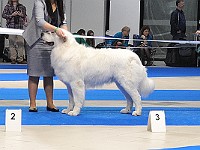 dsc_2643.jpg