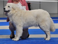 dsc_2707.jpg