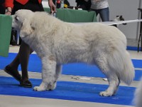 dsc_2708.jpg