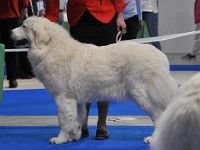 dsc_2711.jpg