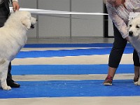 dsc_2716.jpg