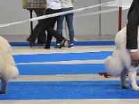 dsc_2717.jpg