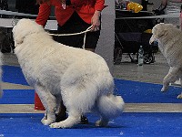 dsc_2720.jpg