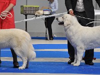dsc_2722.jpg