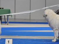 dsc_2726.jpg