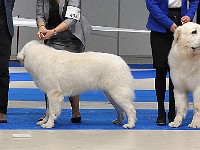 dsc_2811.jpg