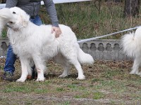 dsc_2822.jpg