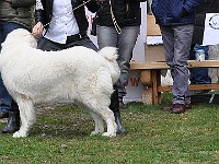 dsc_2827.jpg