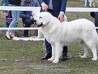 dsc_2830.jpg