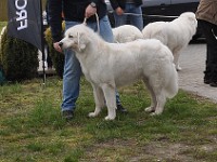 dsc_2831.jpg