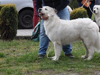 dsc_2834.jpg