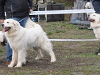 dsc_2835.jpg