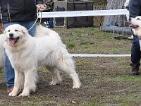 dsc_2836.jpg