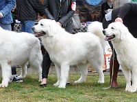 dsc_2837.jpg