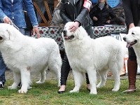 dsc_2840.jpg