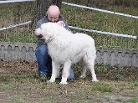 dsc_2841.jpg