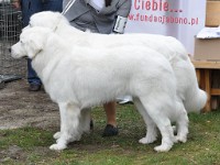 dsc_2865.jpg