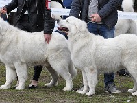 dsc_2866.jpg