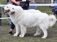 dsc_2867.jpg
