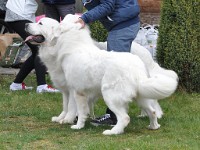 dsc_2871.jpg