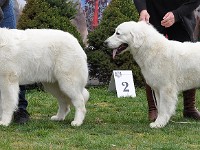 dsc_2872.jpg