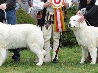 dsc_2876.jpg