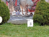 dsc_2880.jpg