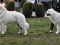 dsc_2891.jpg