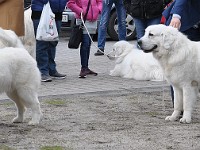 dsc_2892.jpg