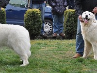 dsc_2895.jpg