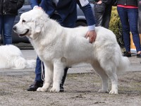 dsc_2899.jpg