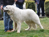 dsc_2903.jpg