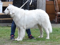 dsc_2944.jpg