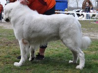 dsc_2980.jpg