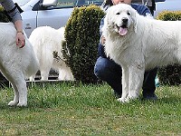 dsc_2982.jpg