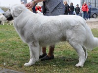 dsc_2987.jpg