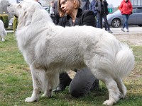 dsc_2997.jpg