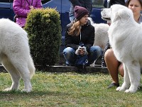 dsc_2998.jpg