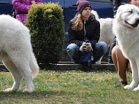 dsc_2999.jpg