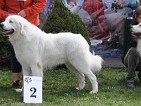 dsc_3001.jpg