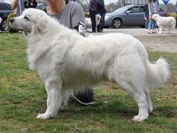 dsc_3008.jpg