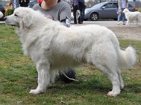dsc_3009.jpg