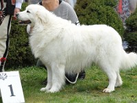 dsc_3013.jpg